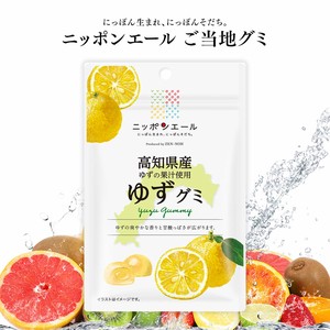 ご当地グミ ニッポンエール 高知県産 ゆずグミ 果実グミ 全国農協食品