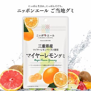ご当地グミ ニッポンエール 三重県産 マイヤーレモングミ 果実グミ 全国農協食品