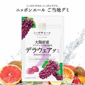 ご当地グミ ニッポンエール 大阪府産 デラウェアグミ 果実グミ 全国農協食品