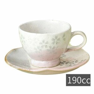 Mino ware Cup & Saucer Set Saucer 190ml Made in Japan