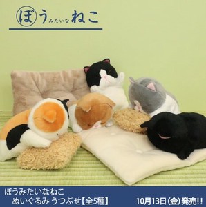 动物/鱼玩偶/毛绒玩具 毛绒玩具 猫 5种类