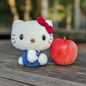 ハローキティ　クラシック　ふわくた