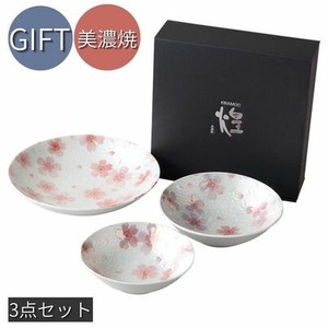 Mino ware Main Dish Bowl Gift Set Assortment Made in Japan