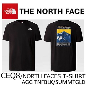 THE NORTH FACE(ザノースフェイス) Tシャツ CEQ8/NORTH FACES TEE