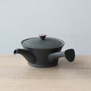 Japanese Teapot with Tea Strainer Arita ware Tea Pot 300ml Made in Japan