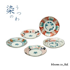 セット商品 単品もあります　染のうつわ 染錦古伊万里 中皿揃 美濃焼 日本製