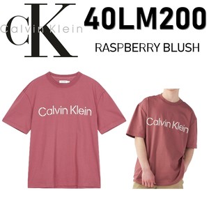 CALVIN KLEIN(カルバンクライン) Tシャツ 40LM200