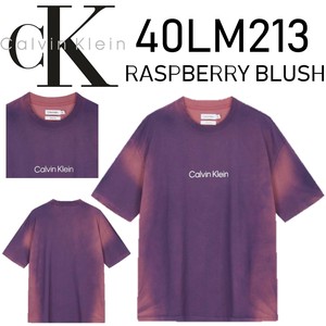 CALVIN KLEIN(カルバンクライン) Tシャツ 40LM213