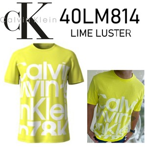 CALVIN KLEIN(カルバンクライン) Tシャツ 40LM814