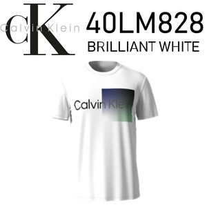 CALVIN KLEIN(カルバンクライン) Tシャツ 40LM828