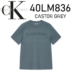 CALVIN KLEIN(カルバンクライン) Tシャツ 40LM836