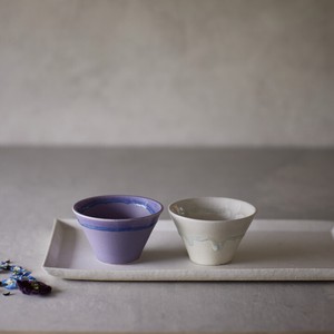 Mino ware Mug Gift Set Made in Japan