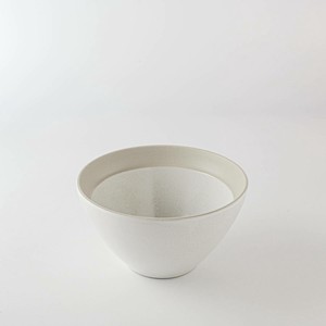 Mino ware Donburi Bowl Rustic White M Western Tableware Made in Japan