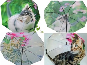 デジタルプリント　ネコギャラリー　雨傘