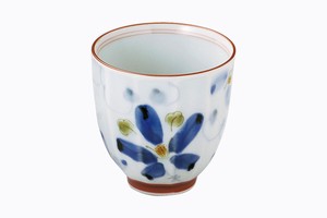 Hasami ware Japanese Teacup Red Porcelain Made in Japan