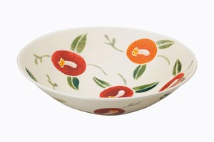 Tokoname ware Main Dish Bowl Pottery Made in Japan