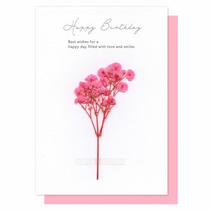 Greeting Card Dry flower