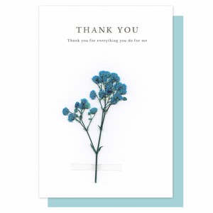 Greeting Card Dry flower