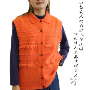 Sweater/Knitwear Fringe Border Sweater Vest