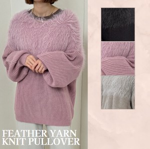 Sweater/Knitwear Pullover Long Sleeves Feather Autumn/Winter 2023