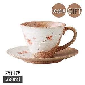 Mino ware Cup & Saucer Set Red Gift Coffee Cup and Saucer M