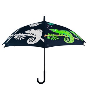 预购 雨伞 Design