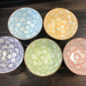 Mino ware Large Bowl Made in Japan