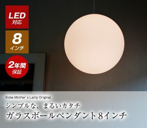 ボールペンダントライト 天井照明 照明器具 シンプル フロスト 8インチ W-7101