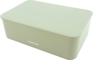 LAURIER LUNCH BOX Pale Green