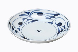 Hasami ware Main Plate Porcelain 7-sun Made in Japan