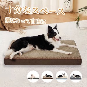 Bed/Mattress Dog