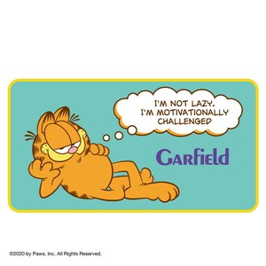 Blanket Blanket Garfield