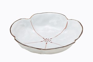 Hasami ware Main Plate Porcelain Made in Japan