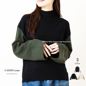Sweater/Knitwear Color Palette Knitted Bicolor Long Sleeves High-Neck Ladies Autumn/Winter