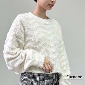 Sweater/Knitwear Jacquard Knitted Long Sleeves Boa Tops Ladies' Autumn/Winter