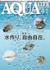 月刊アクアライフ 2023年 12 月号 水作り、自由自在。