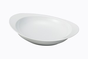 Main Plate Porcelain Arita ware L size Made in Japan