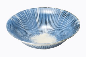 Hasami ware Main Dish Bowl Porcelain Made in Japan
