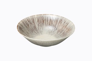 Hasami ware Main Dish Bowl Porcelain Made in Japan