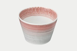 Hasami ware Cup Porcelain Made in Japan
