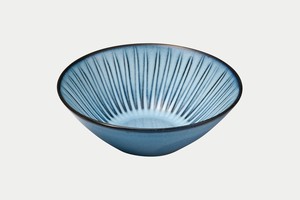 Hasami ware Main Dish Bowl Pottery L size Made in Japan
