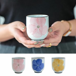 Hasami ware Japanese Teacup Gift 2024 Spring/Summer Made in Japan