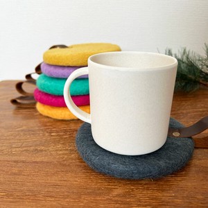 Coaster Colorful Star 6-colors