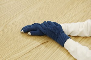 【2023秋冬】スマホ対応センターケーブル編み手袋