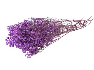 即納 かすみそうブロッサム オーキッド プリザーブドフラワー カスミソウ 霞 花材 小さい花 紫色