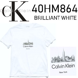 CALVIN KLEIN(カルバンクライン) Tシャツ 40HM864