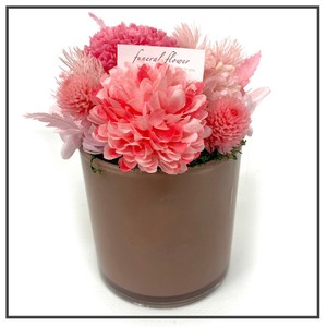 雲雀 ホットピンク プリザーブドフラワー 現代仏花 供花 お供え マム キク 菊 和風 ギフト  小さい