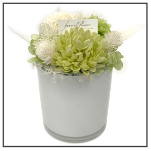 雲雀 ホワイト プリザーブドフラワー 現代仏花 供花 お供え マム キク 菊 和風 ギフト 小さい