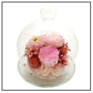 音々 ねおん ピンク 現代仏花 供花 お供え ドーム型 マム 菊 キク 和風 ギフト プレゼント