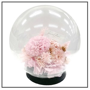 らんぷう ピンク 現代仏花 供花 お供え ドーム型 ピンポン マム 菊 キク 和風 ギフト プレゼント